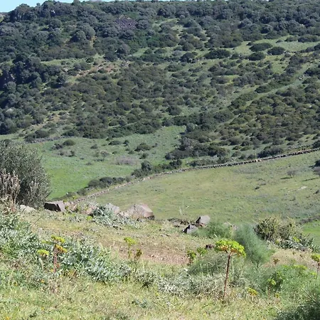 Domu Mia Hébergement de vacances Bauladu